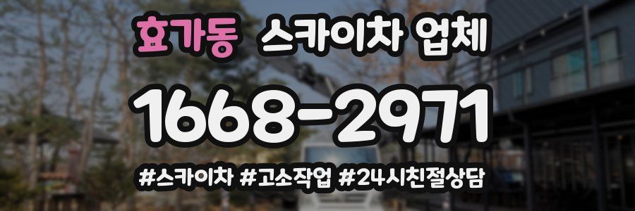 효가동 스카이차 업체