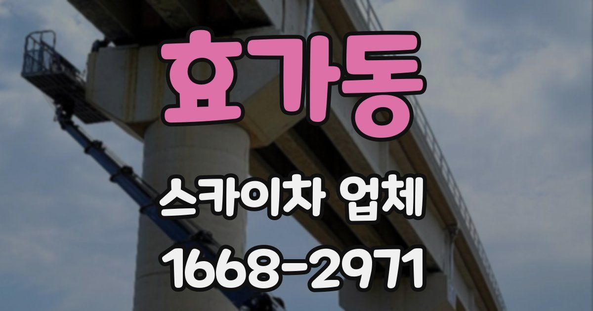 효가동 스카이차 업체