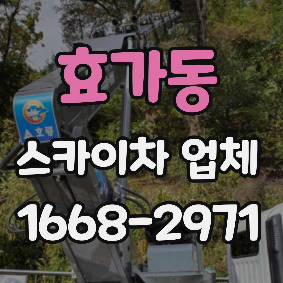 효가동 스카이차 업체