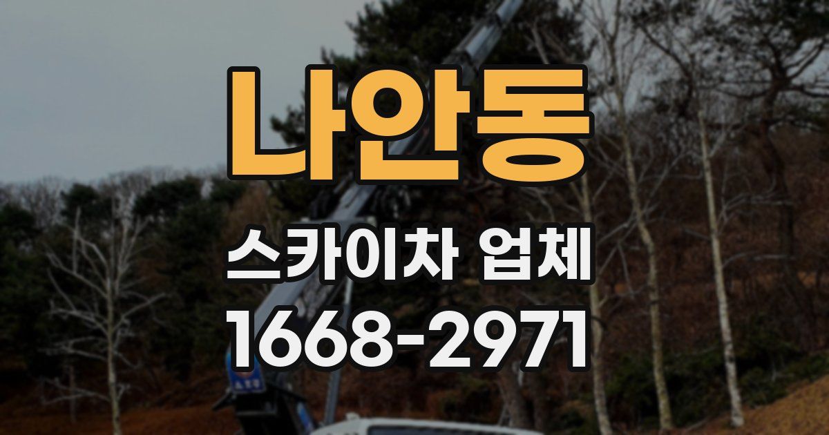 나안동 스카이차 업체