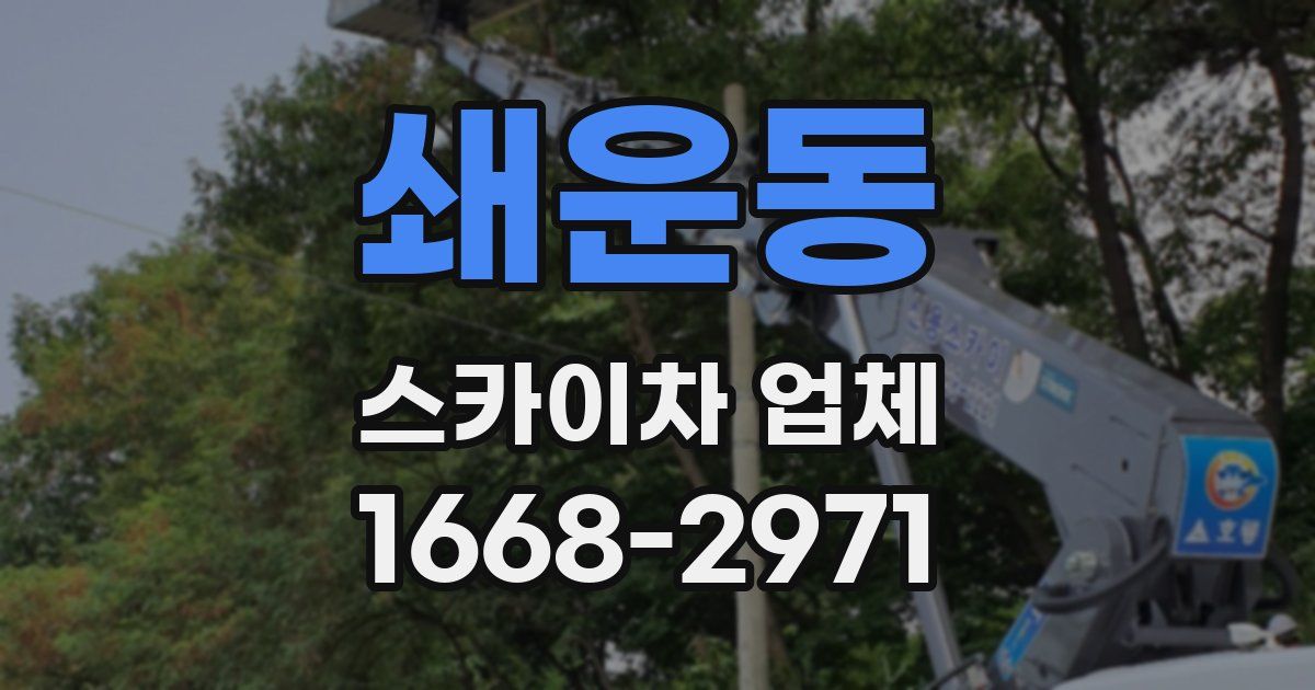 쇄운동 스카이차 업체