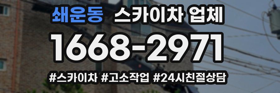 쇄운동 스카이차 업체