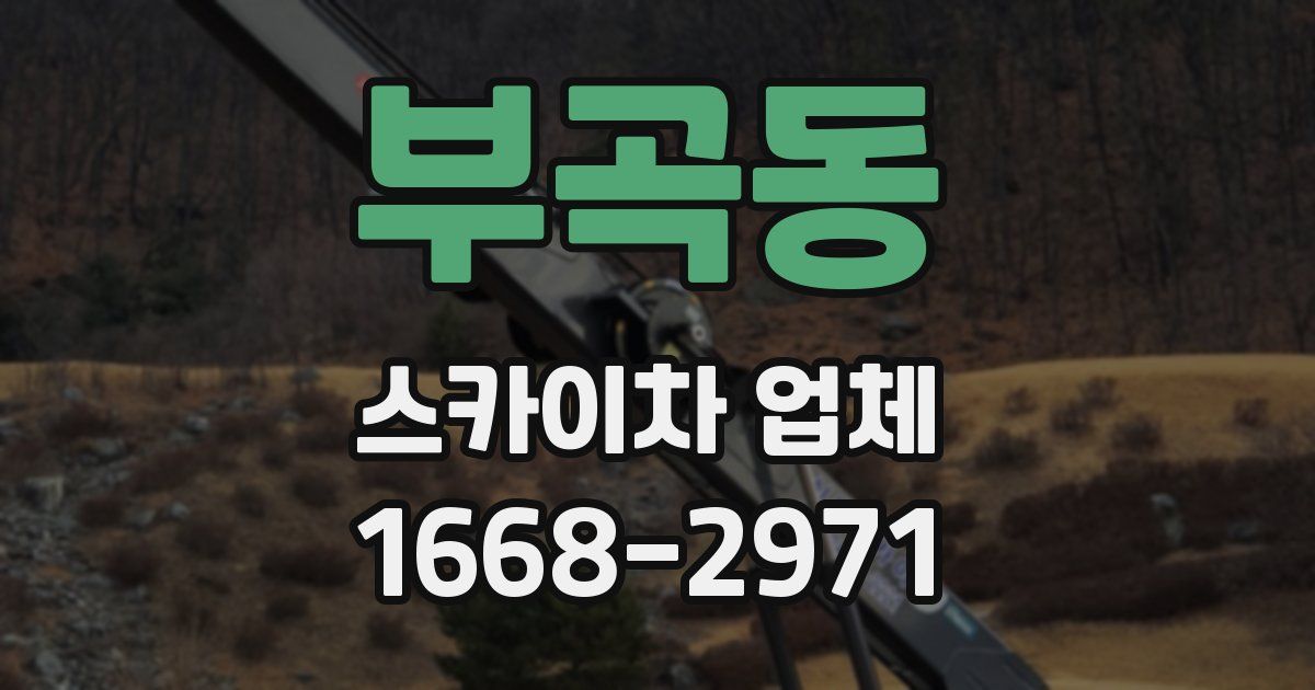 부곡동 스카이차 업체