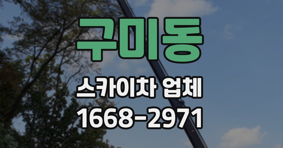 구미동 스카이차 업체