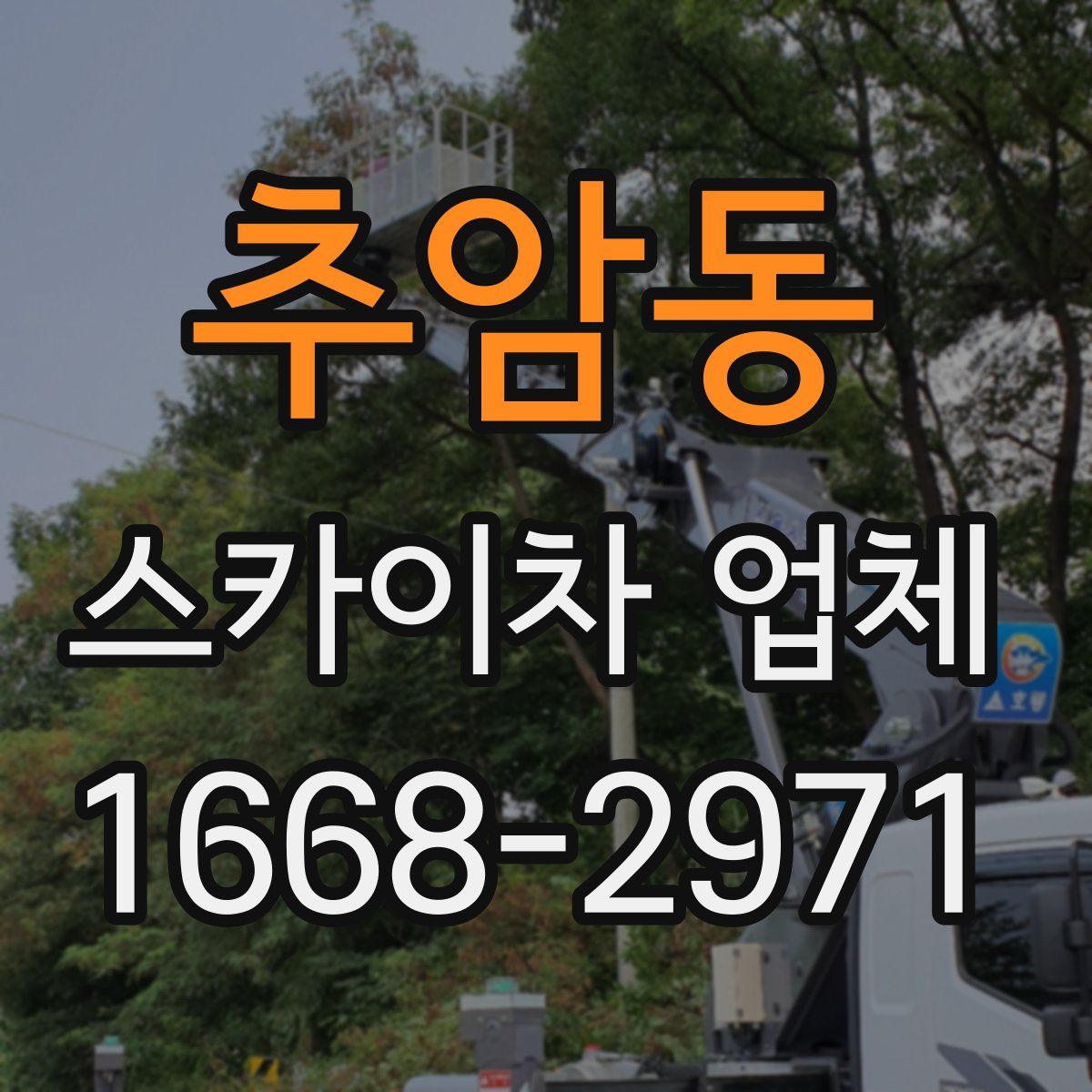 추암동 스카이차 업체