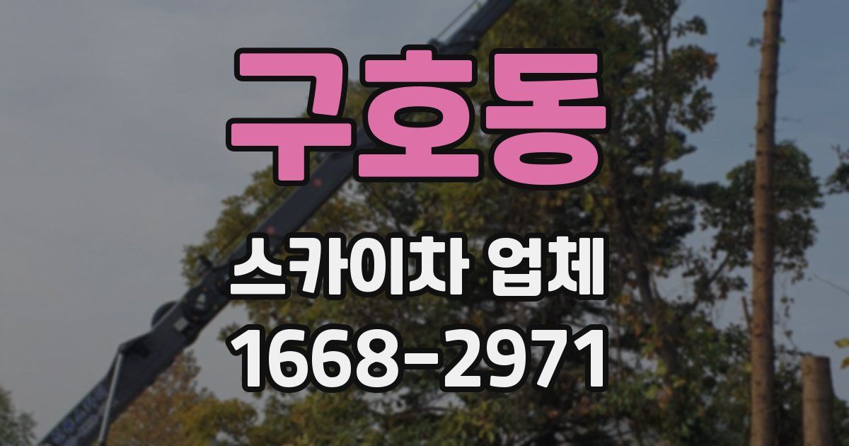 구호동 스카이차 업체