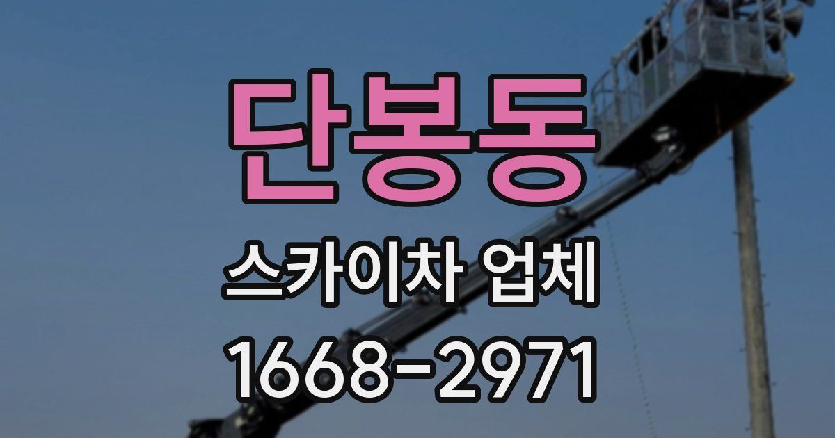 단봉동 스카이차 업체