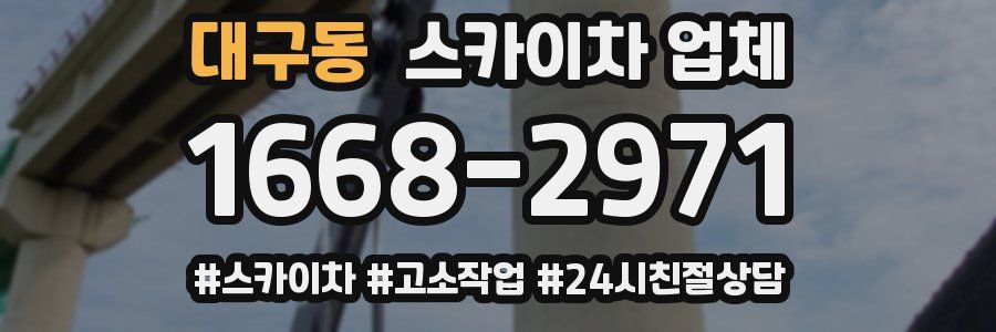 대구동 스카이차 업체
