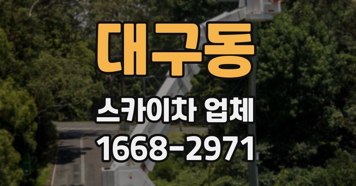 대구동 스카이차 업체