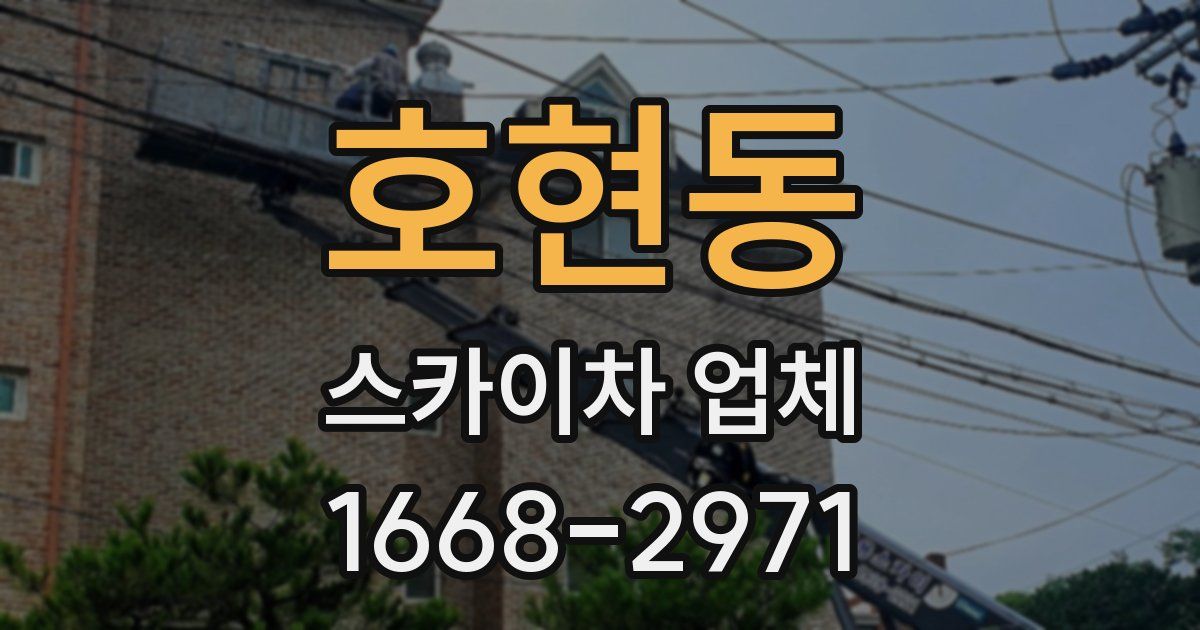 호현동 스카이차 업체