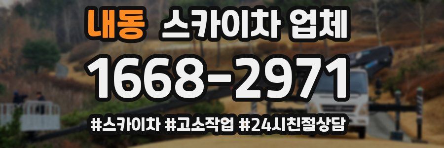 내동 스카이차 업체