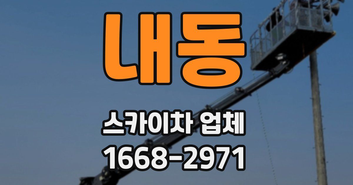 내동 스카이차 업체