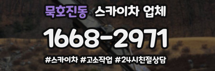 묵호진동 스카이차 업체