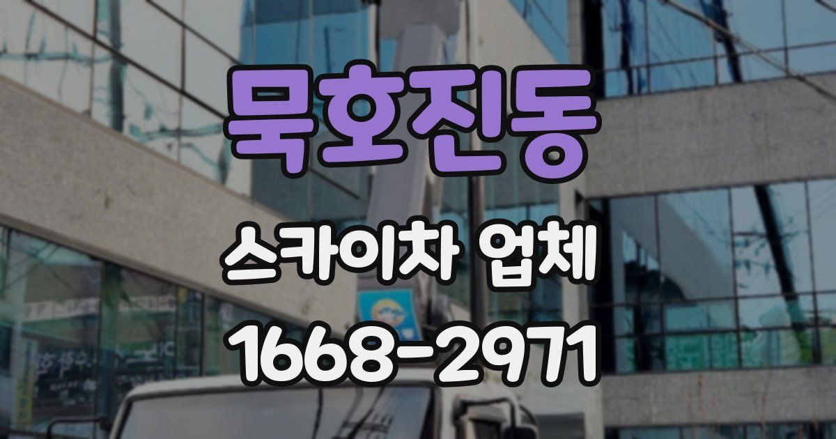 묵호진동 스카이차 업체