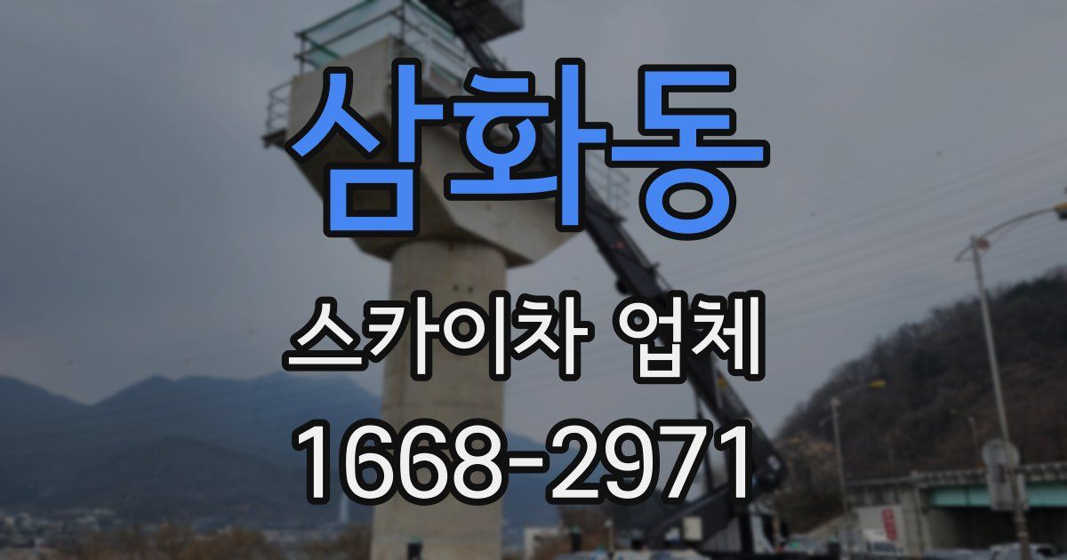 삼화동 스카이차 업체