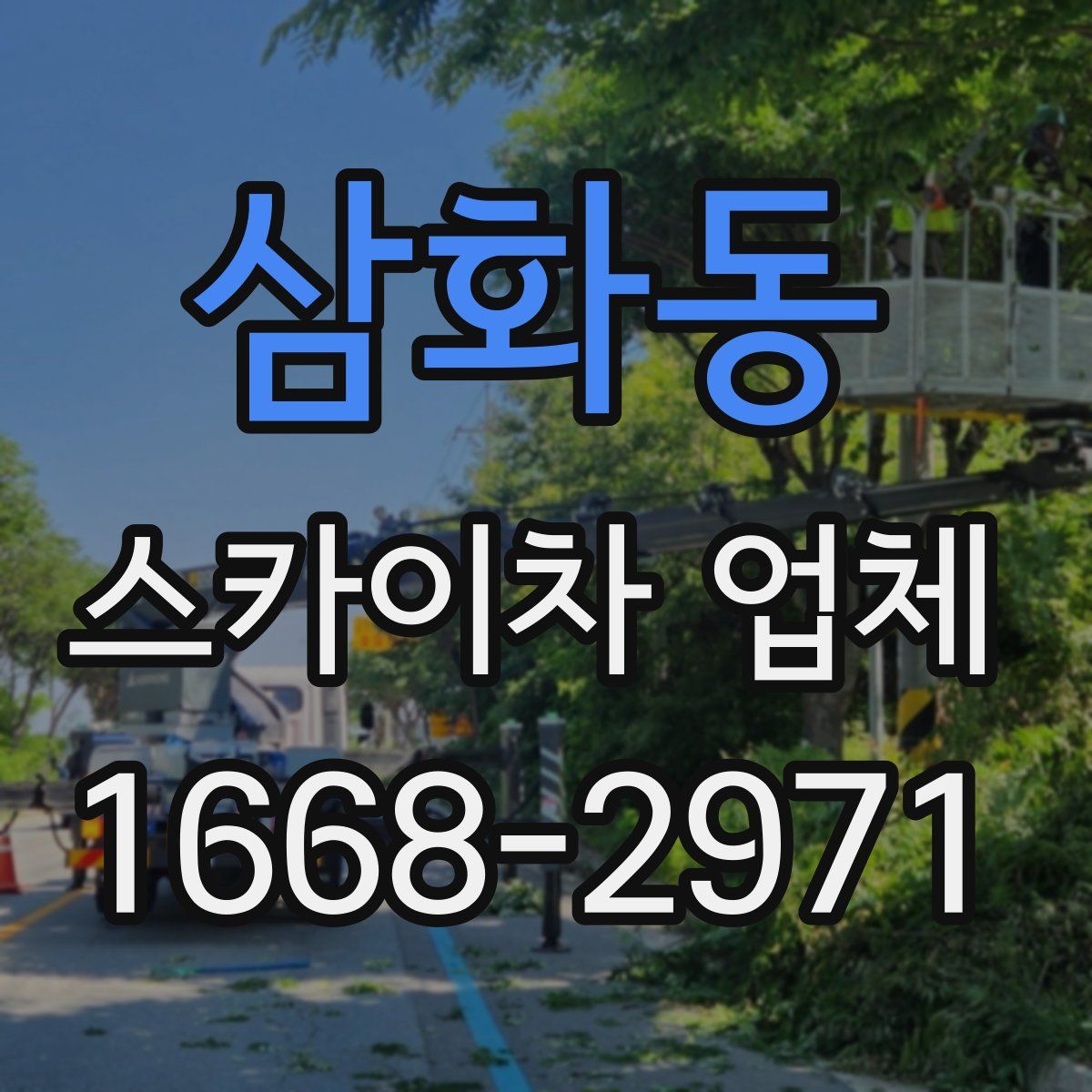 삼화동 스카이차 업체