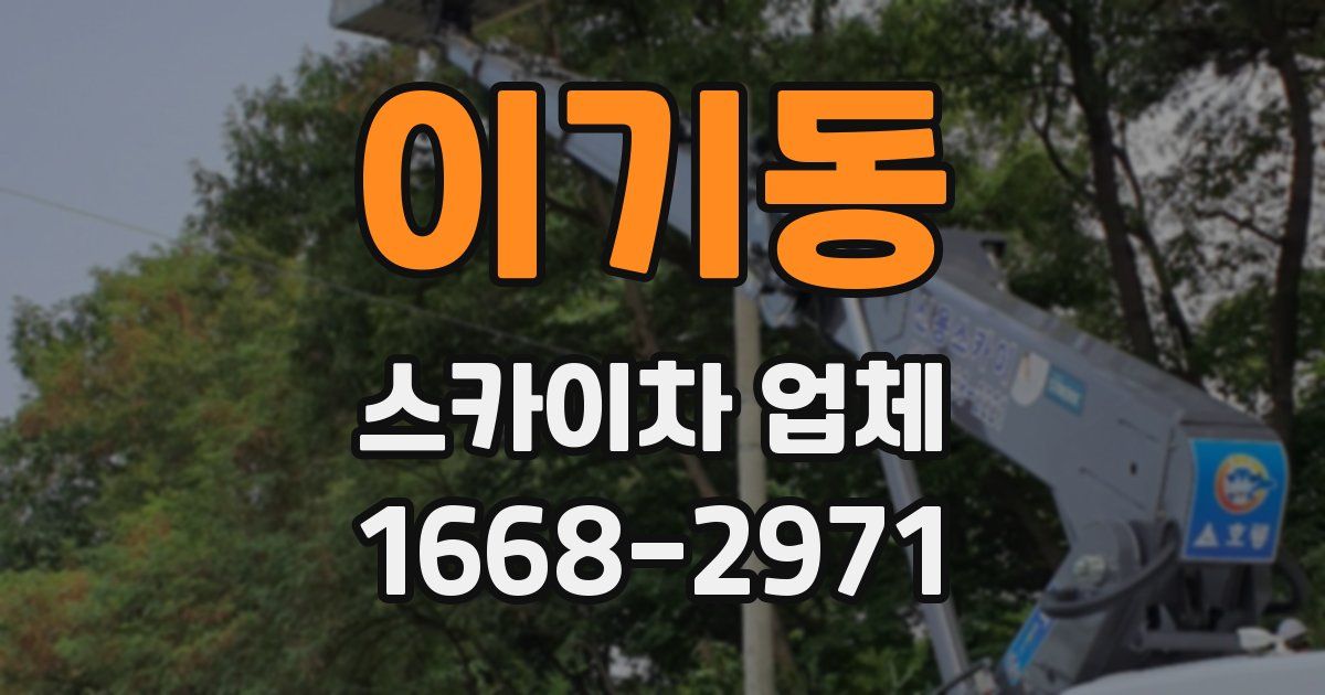 이기동 스카이차 업체