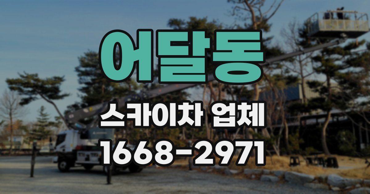 어달동 스카이차 업체