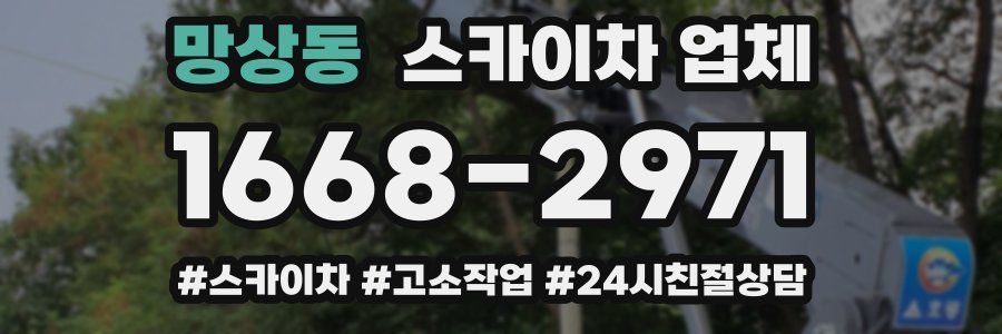 망상동 스카이차 업체