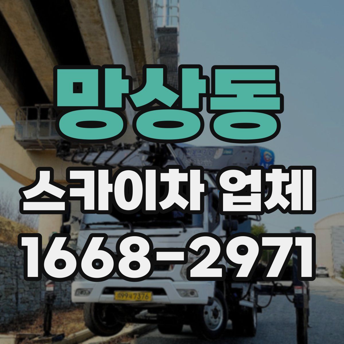 망상동 스카이차 업체