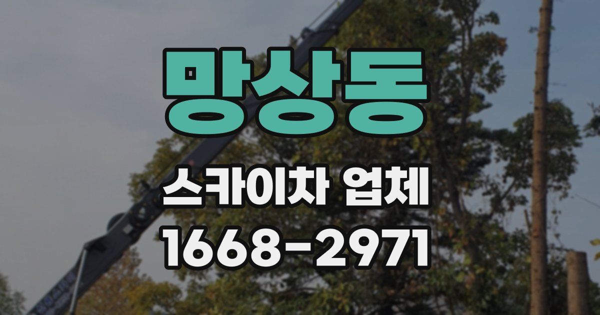 망상동 스카이차 업체