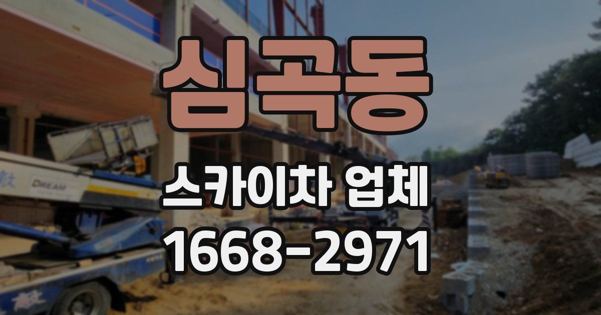 심곡동 스카이차 업체