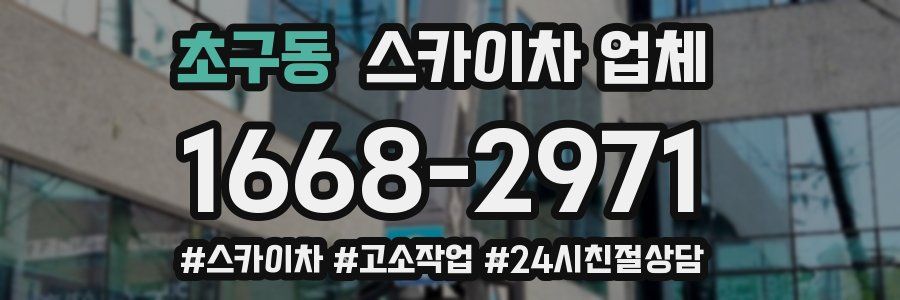 초구동 스카이차 업체