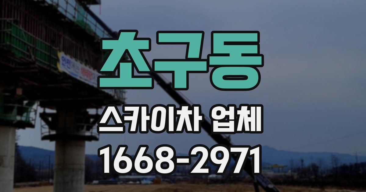 초구동 스카이차 업체