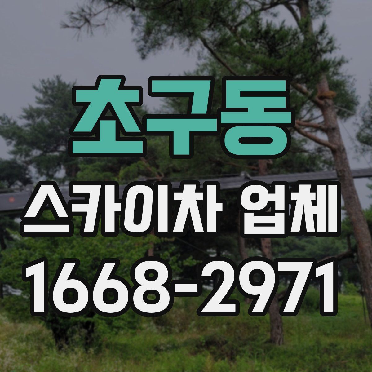 초구동 스카이차 업체