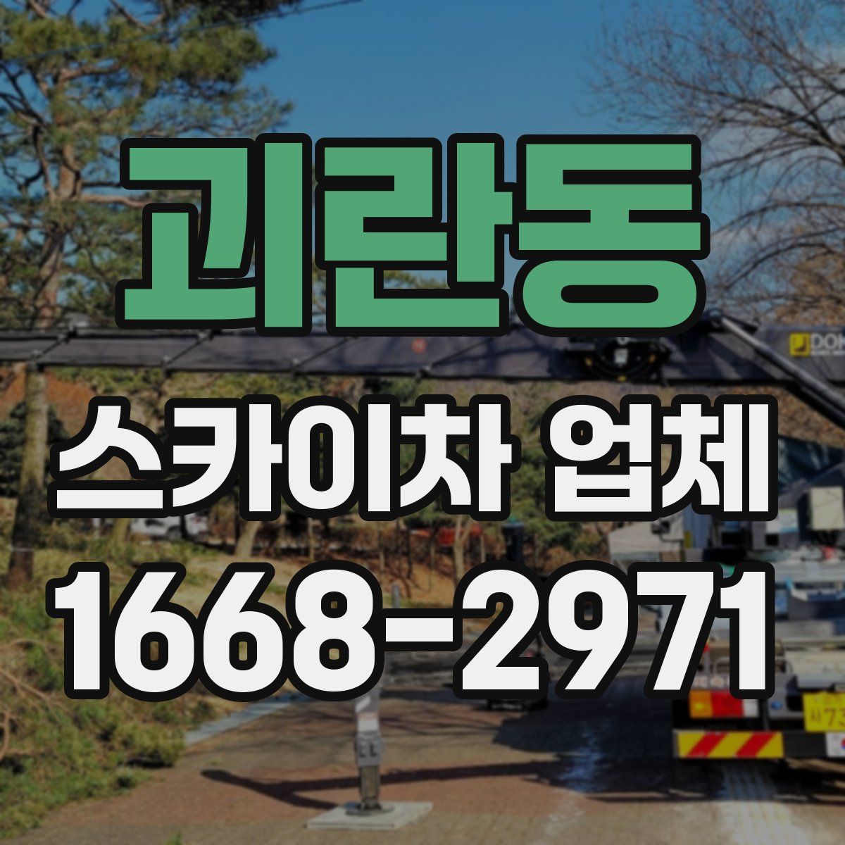 괴란동 스카이차 업체