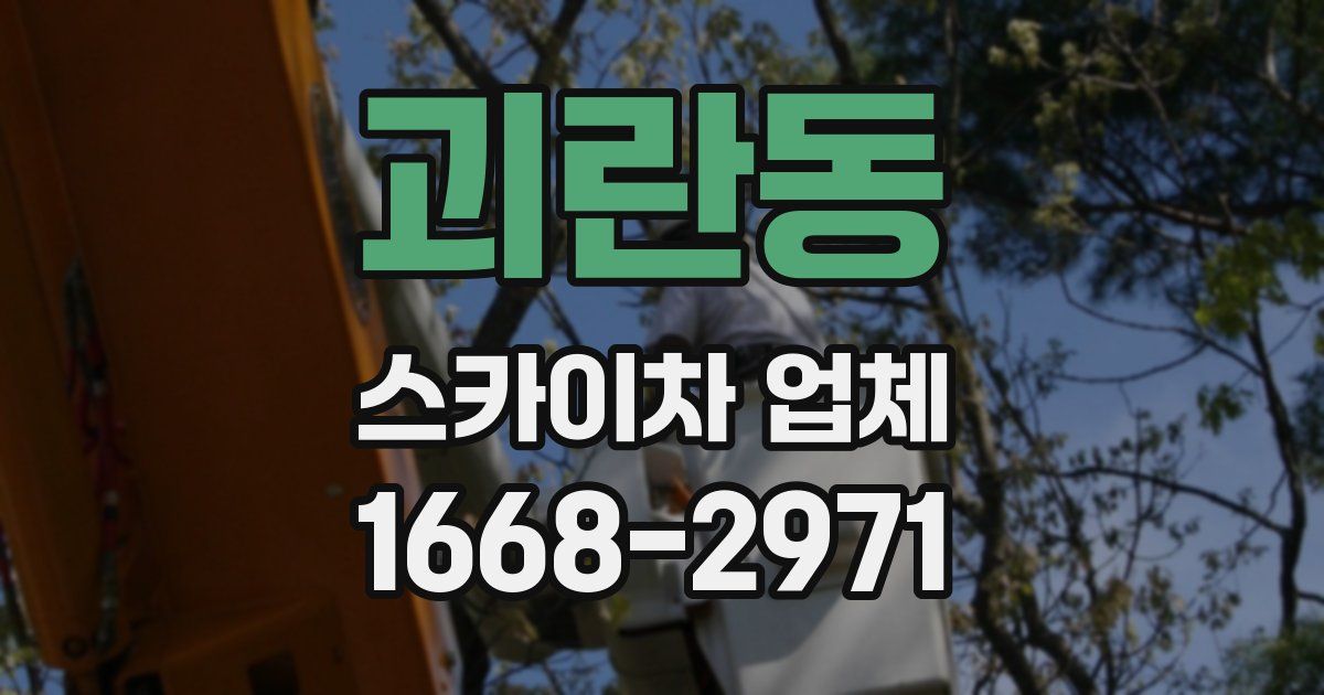 괴란동 스카이차 업체