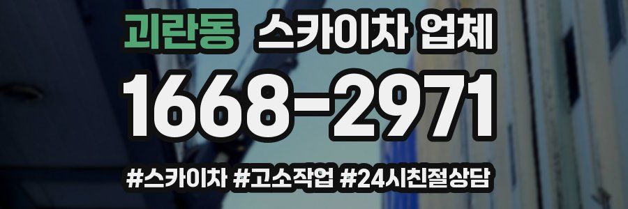 괴란동 스카이차 업체