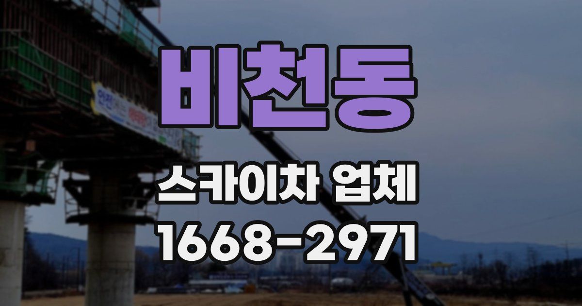 비천동 스카이차 업체