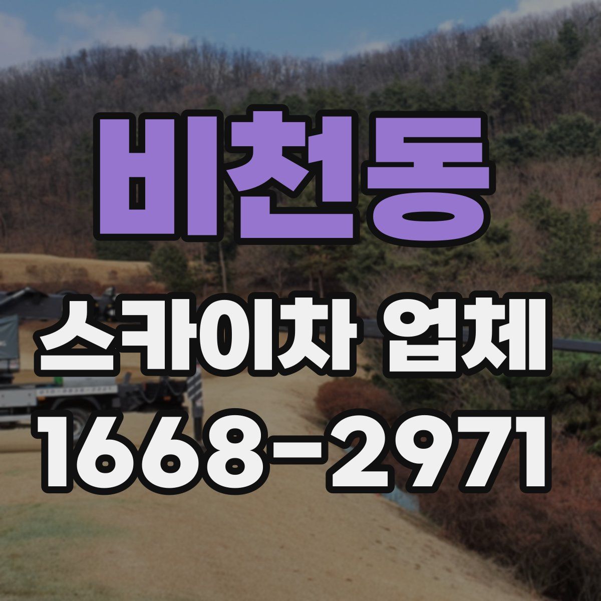 비천동 스카이차 업체