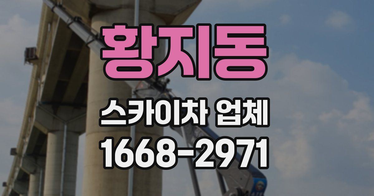 황지동 스카이차 업체