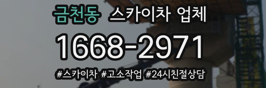 금천동 스카이차 업체