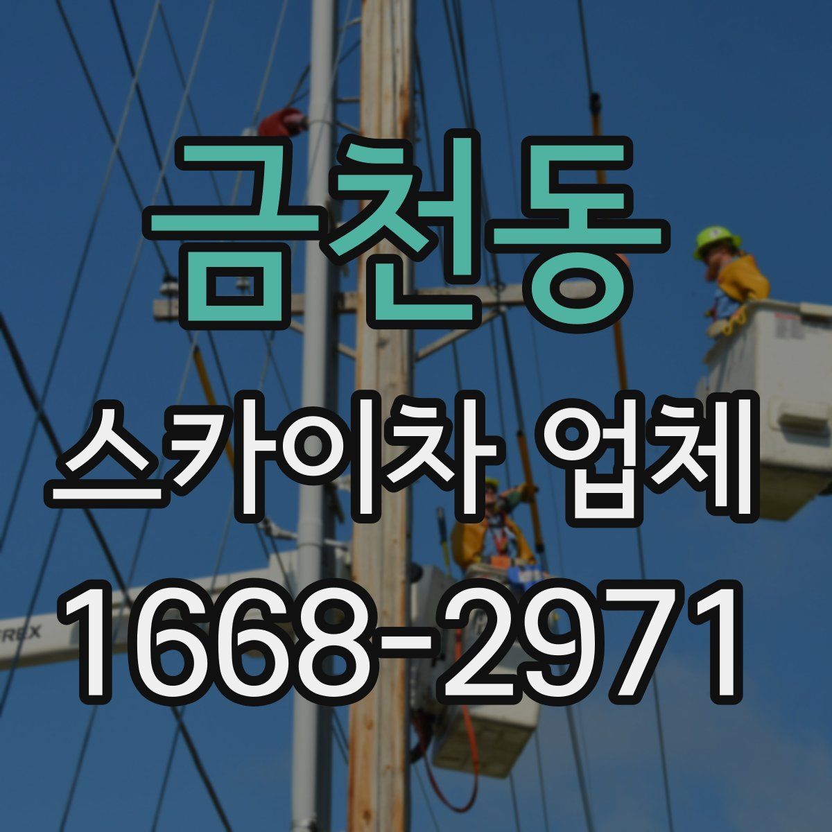 금천동 스카이차 업체
