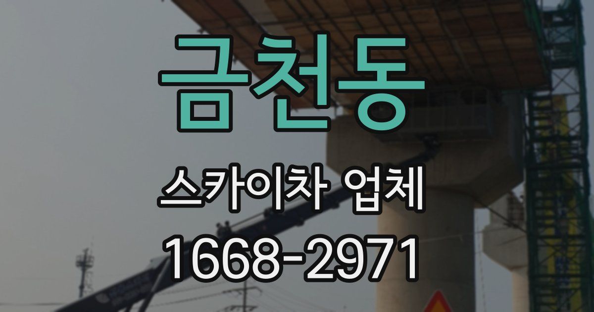 금천동 스카이차 업체