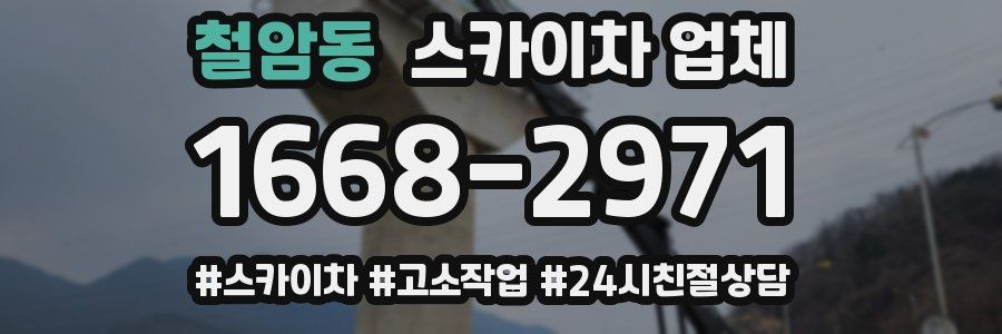 철암동 스카이차 업체