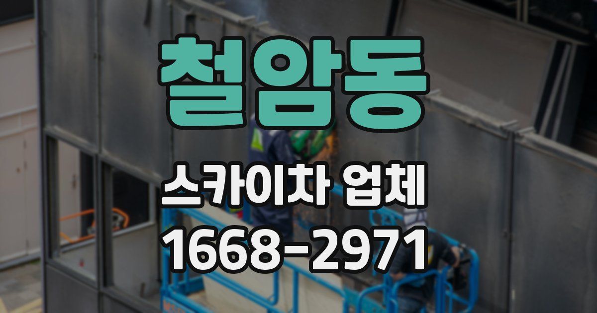 철암동 스카이차 업체