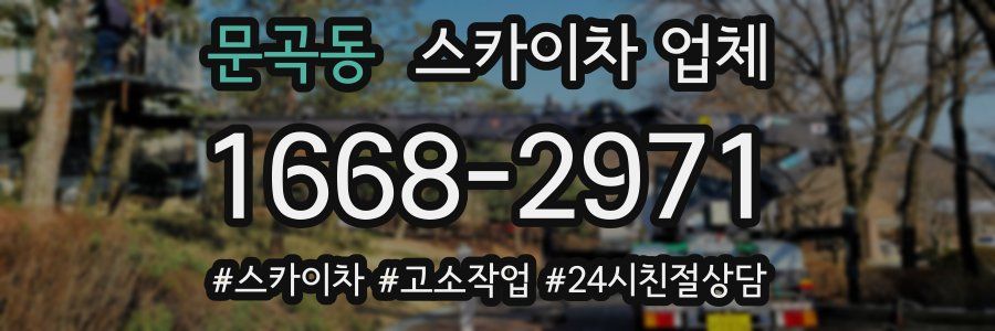 문곡동 스카이차 업체