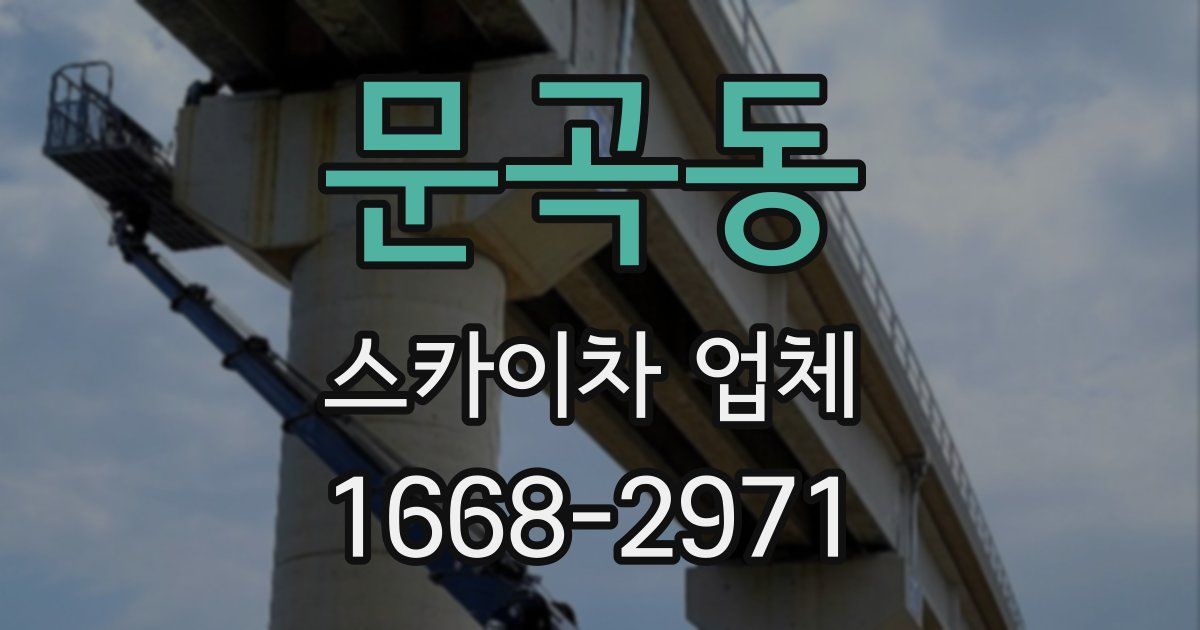 문곡동 스카이차 업체