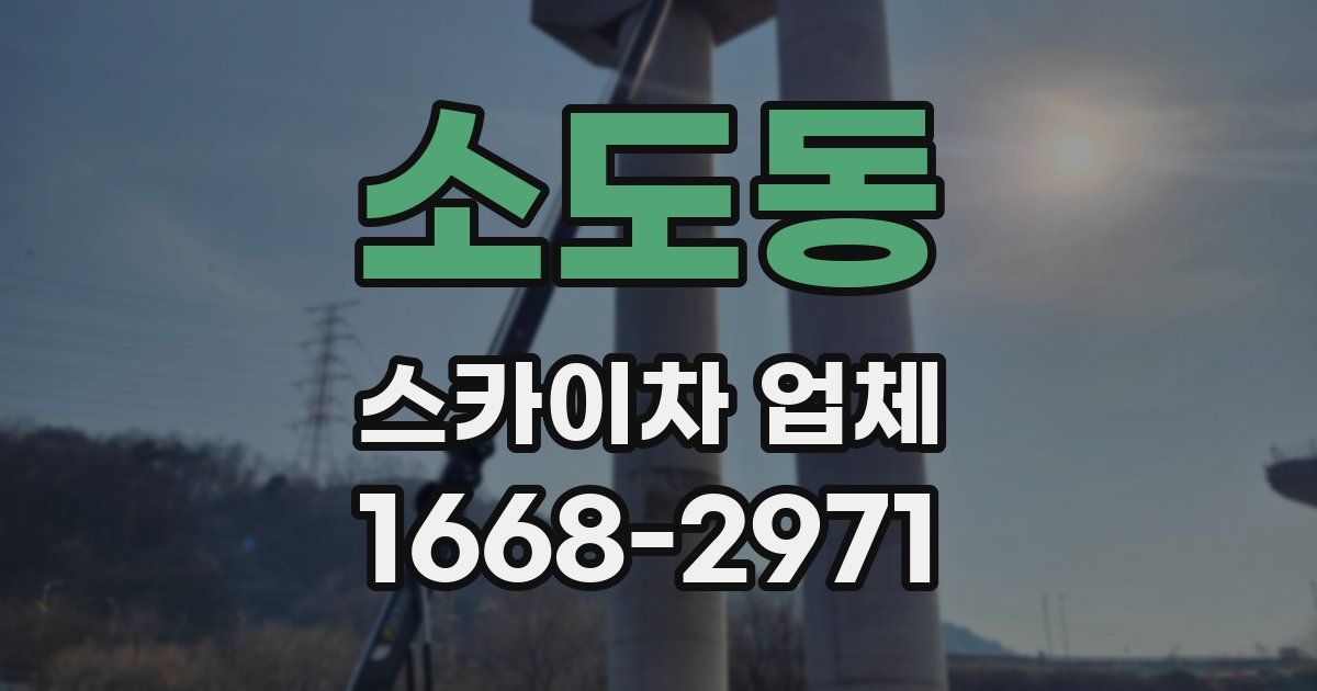 소도동 스카이차 업체