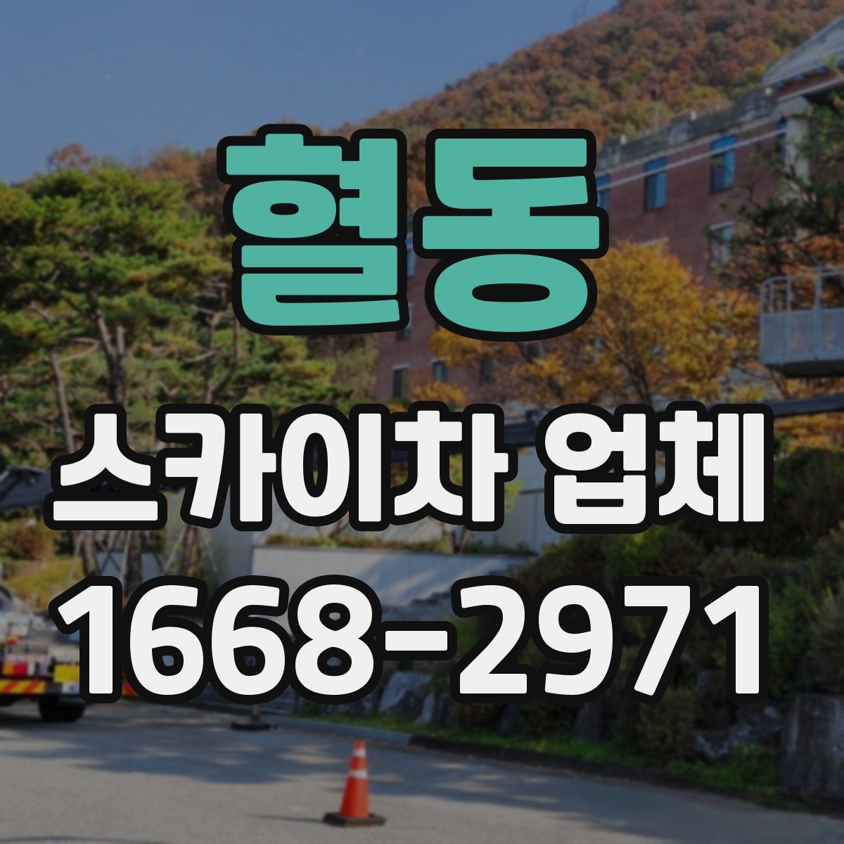 혈동 스카이차 업체