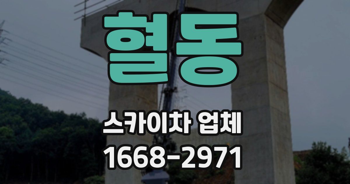 혈동 스카이차 업체