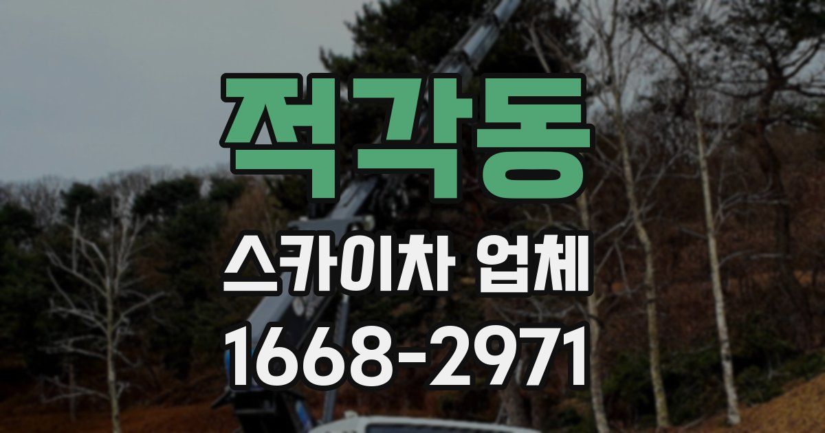 적각동 스카이차 업체