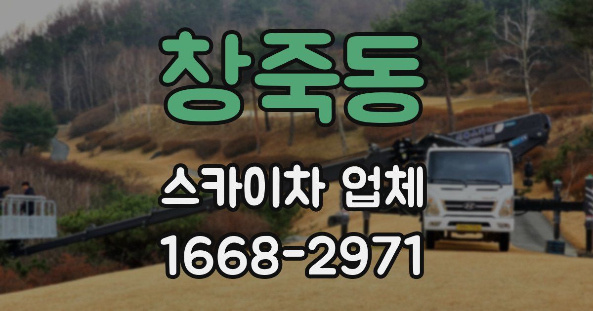 창죽동 스카이차 업체