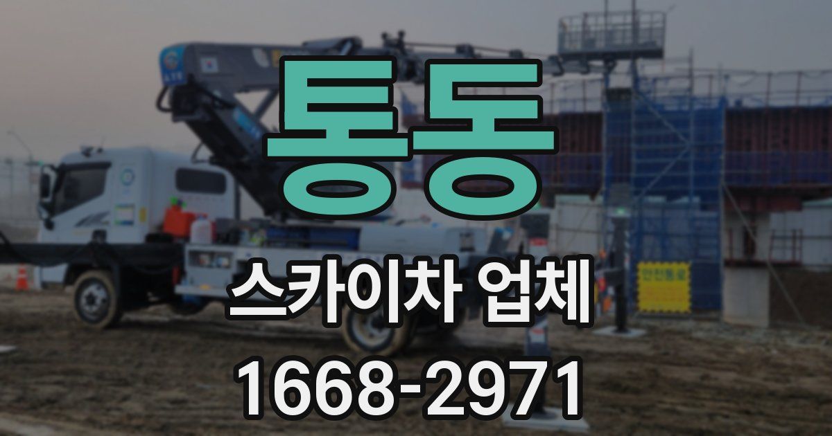 통동 스카이차 업체
