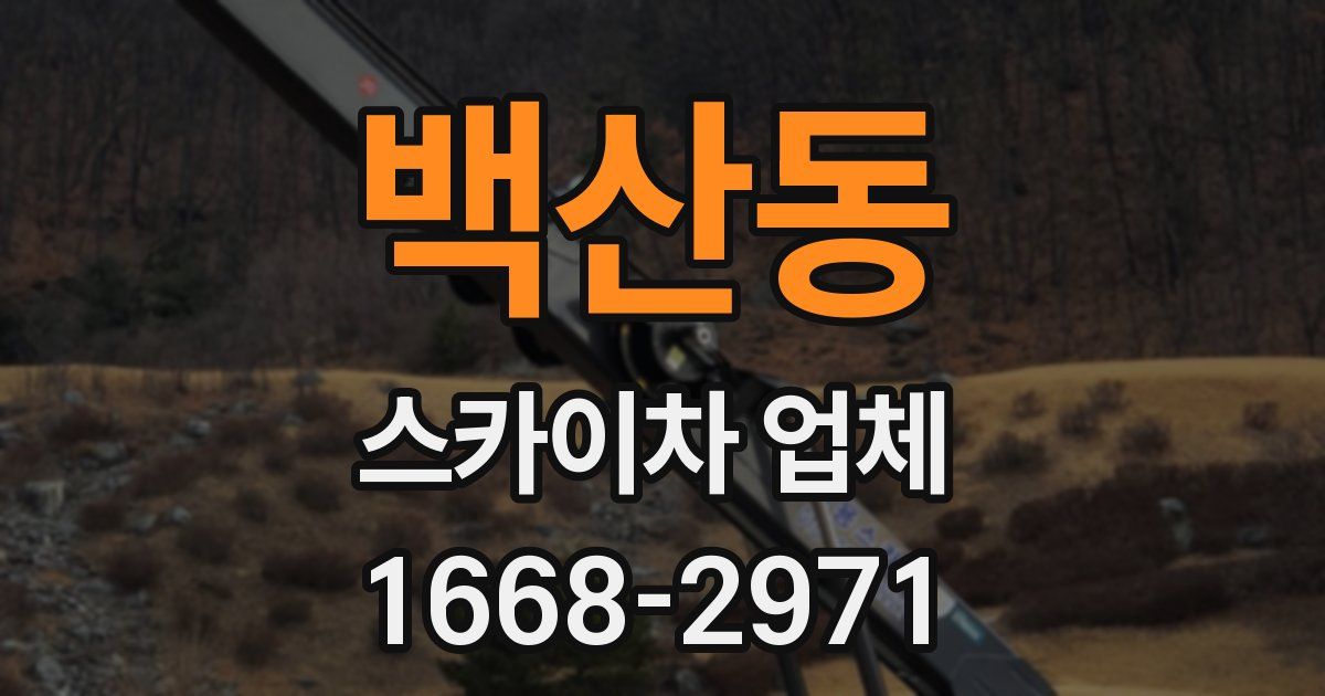 백산동 스카이차 업체