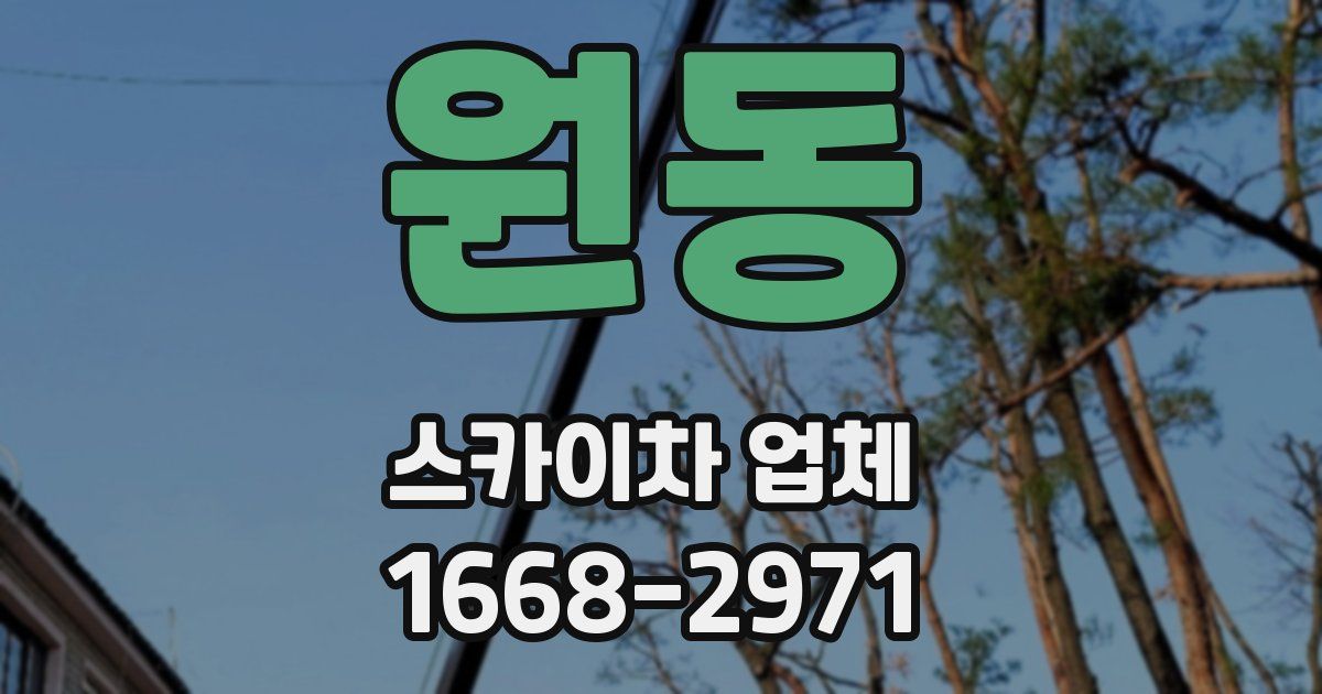 원동 스카이차 업체